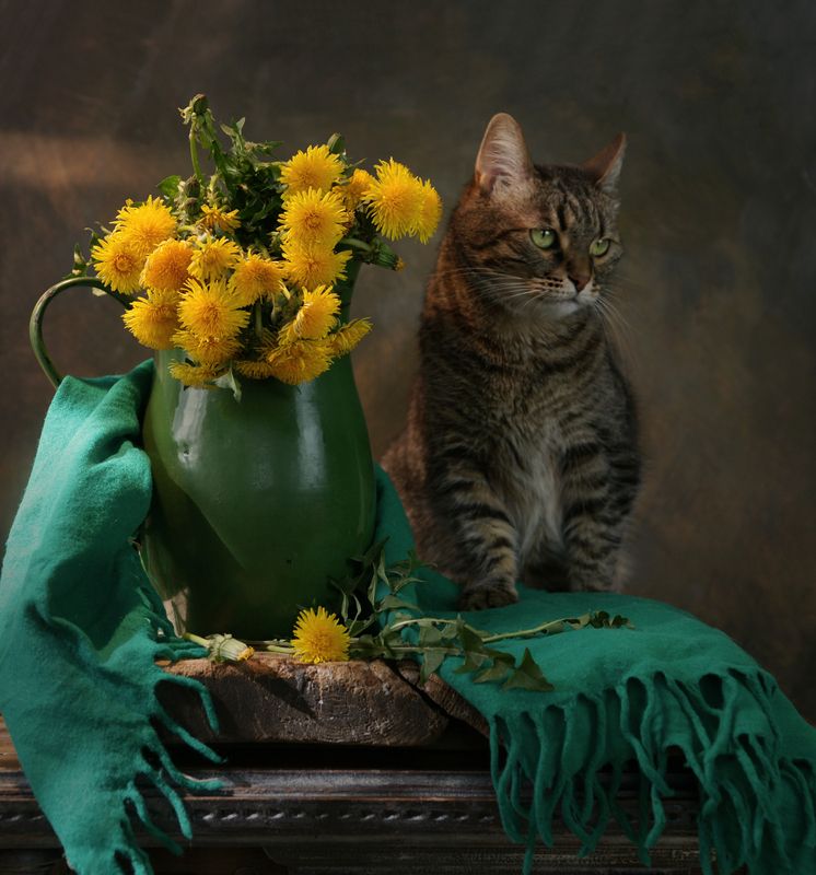 Муся и одуванчикиphoto preview