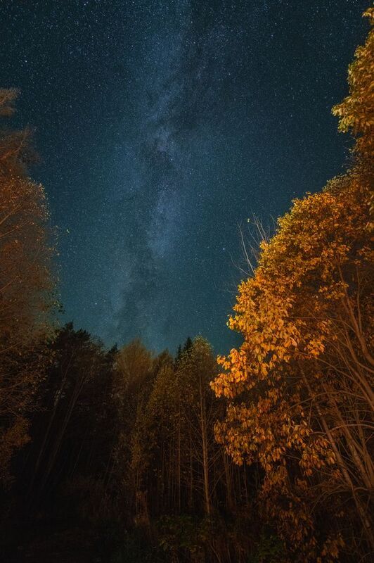 Ночное небо, звезды, Млечный путь, лес, осень photo preview