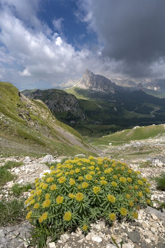 italy, dolomiti, landscape, mountains, Passo Giauphoto preview