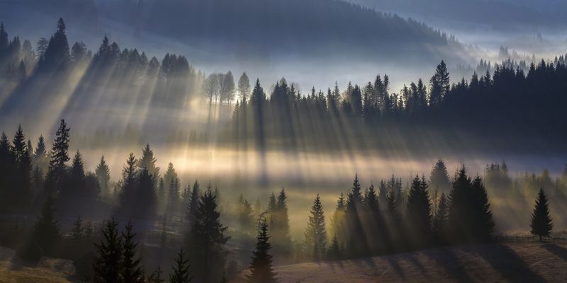 пейзаж туман утро осень После восхода фото превью