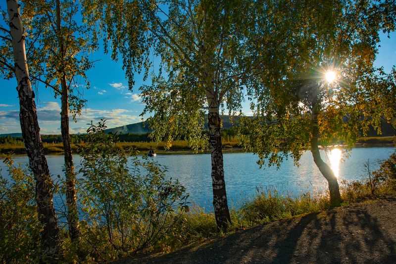 И блещет озеро среди стволов берёзphoto preview