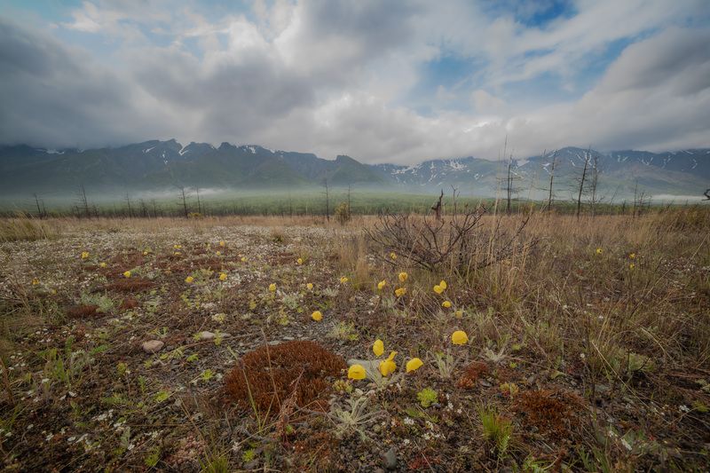 Северный Байкалphoto preview