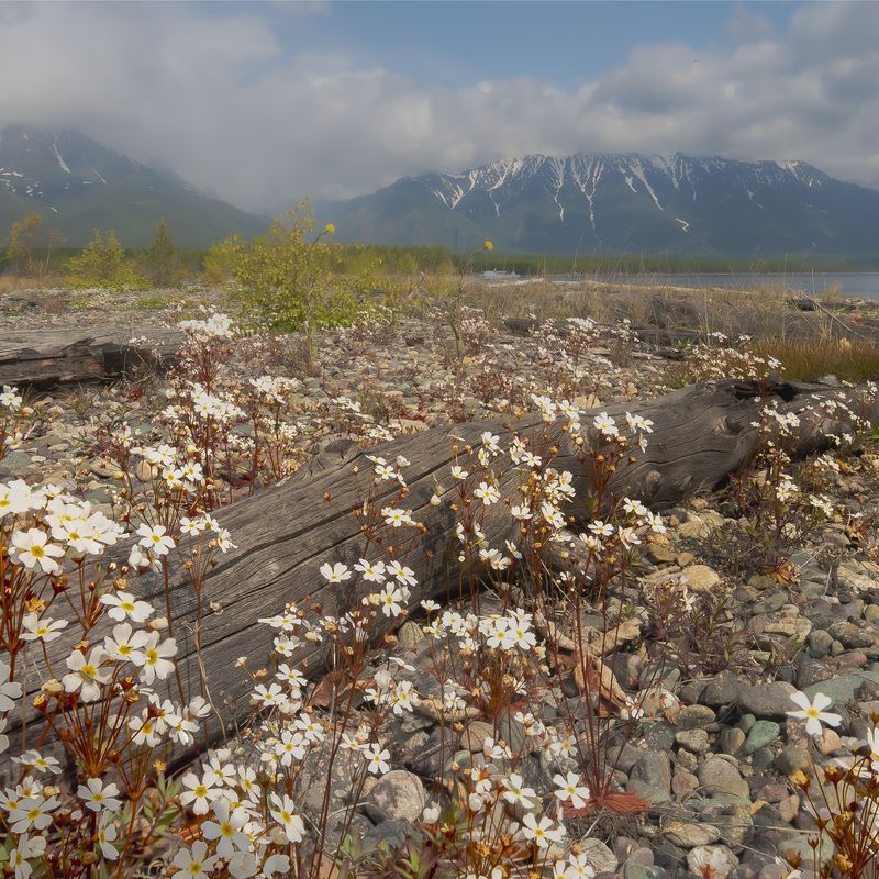 На берегах Северного Байкалаphoto preview