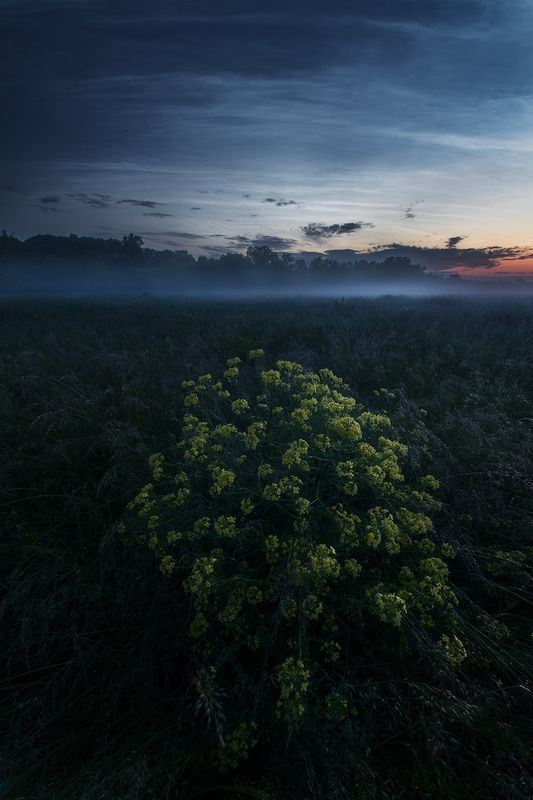 На зареphoto preview