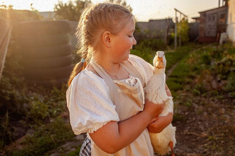 Деревенские историиphoto preview