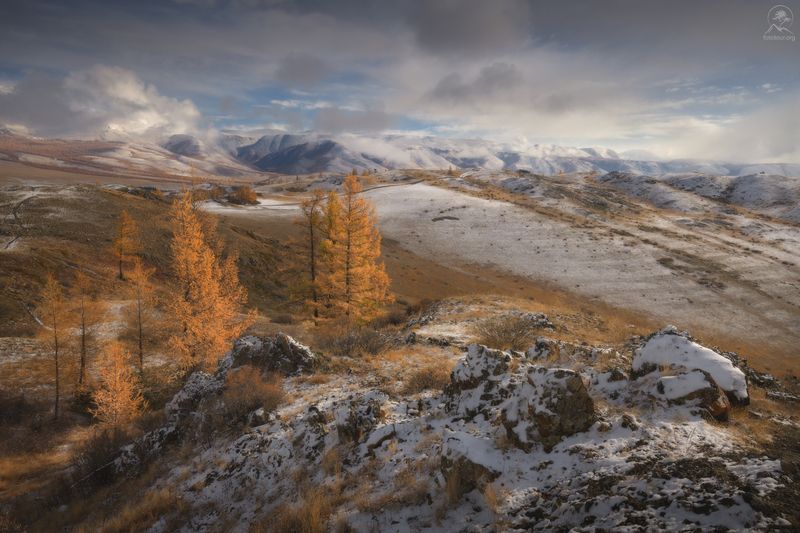 алтай, лиственницы, осень, горы, горный алтай, республика алтай, курай, фототур на алтай, осенний фототур на алтай photo preview