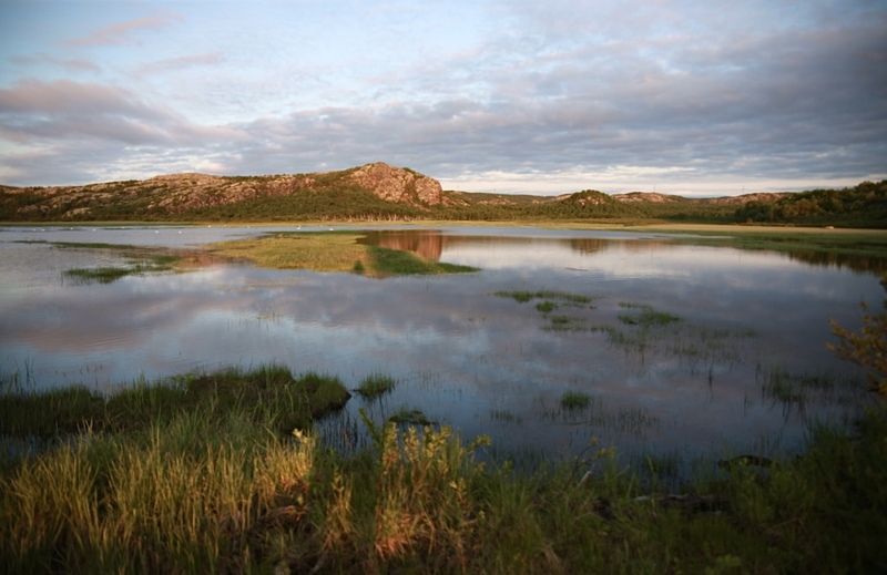 север, ночь, река, озеро, камни, вода, камыши Белая ночь на севереphoto preview