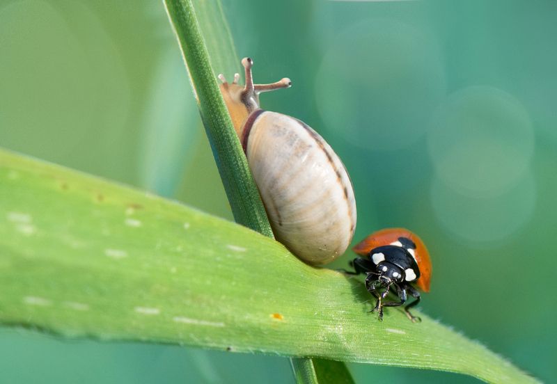 *Не по пути...photo preview