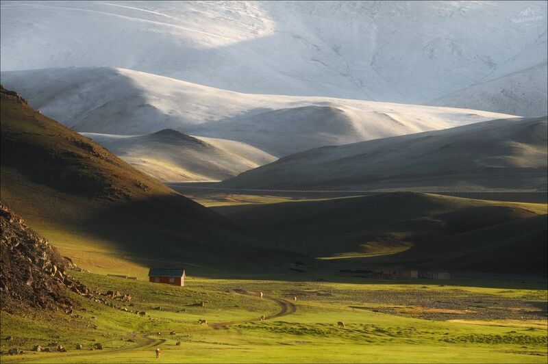 алтай, монголия, западная монголия, монгольский алтай, фототур на алтай и в монголию, фототуры 2025, phototravel.pro Утренняя идиллияphoto preview