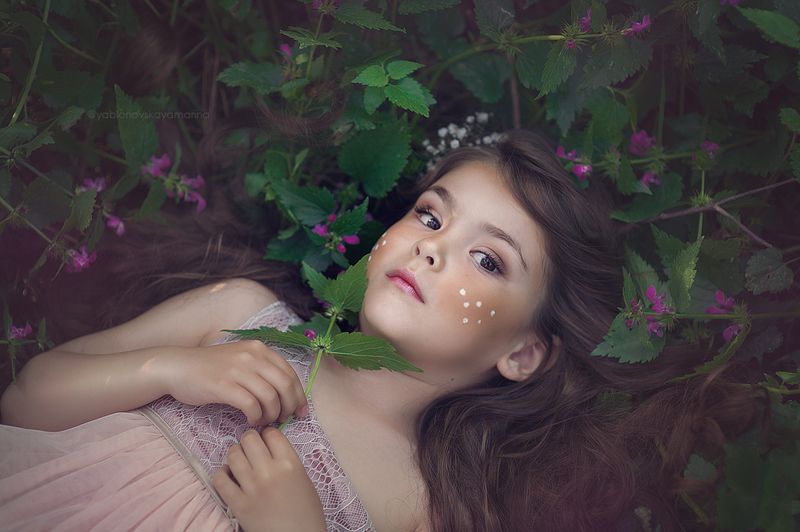 фото превью