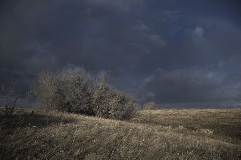 весна степь photo preview