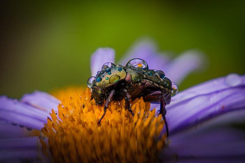 Отражениеphoto preview