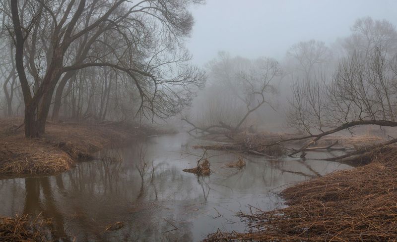весна, река, туман photo preview