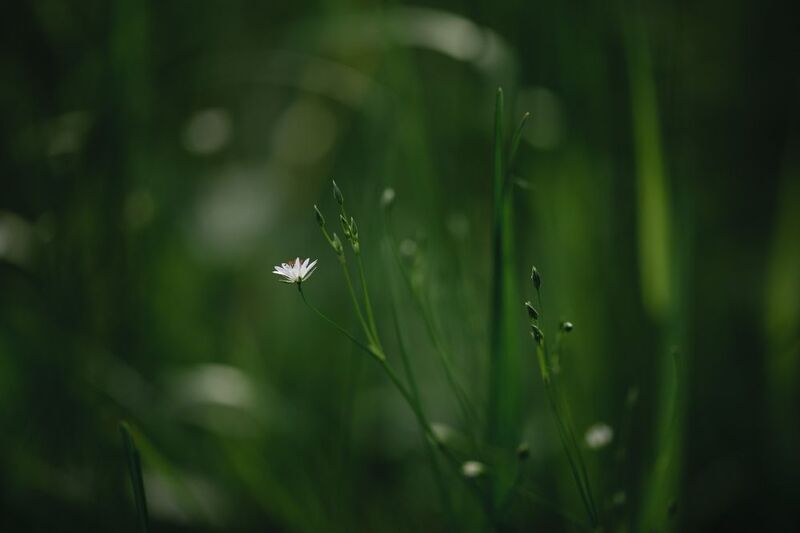 Луч света в темном царствеphoto preview