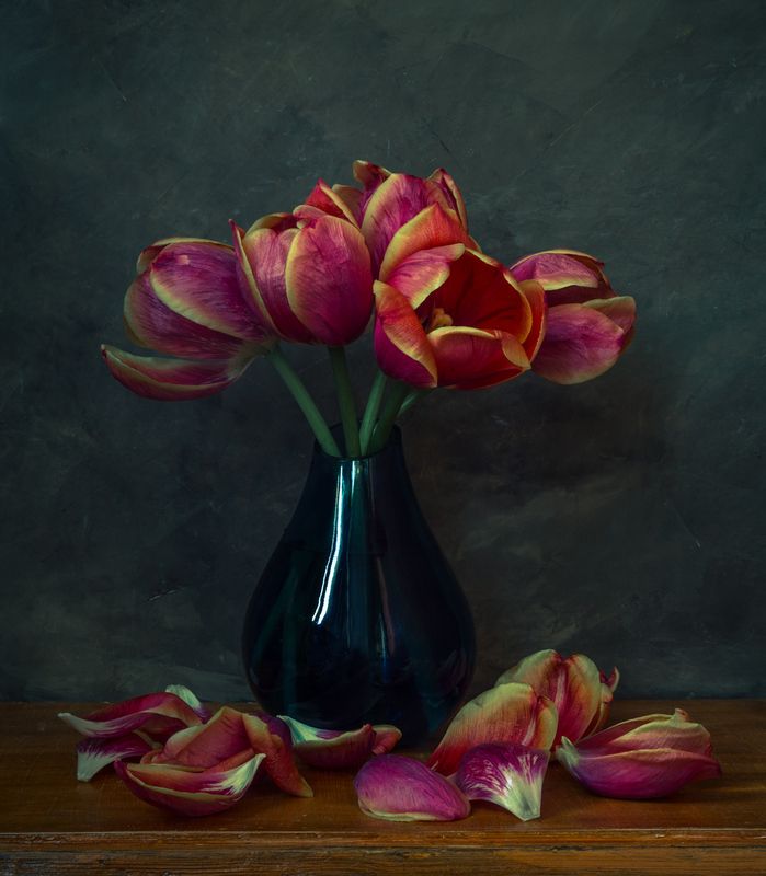 Тюльпаны.photo preview