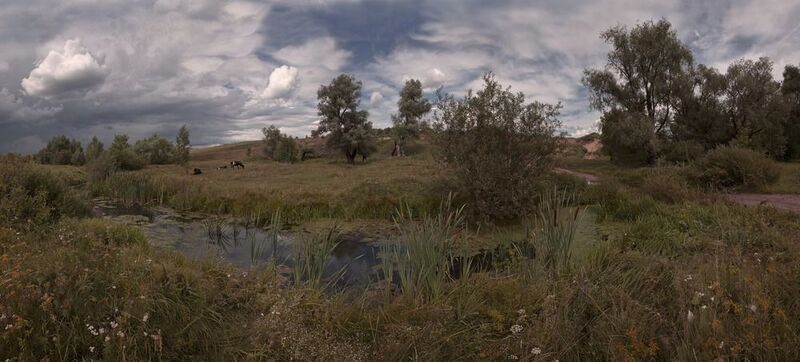 лето Летоphoto preview