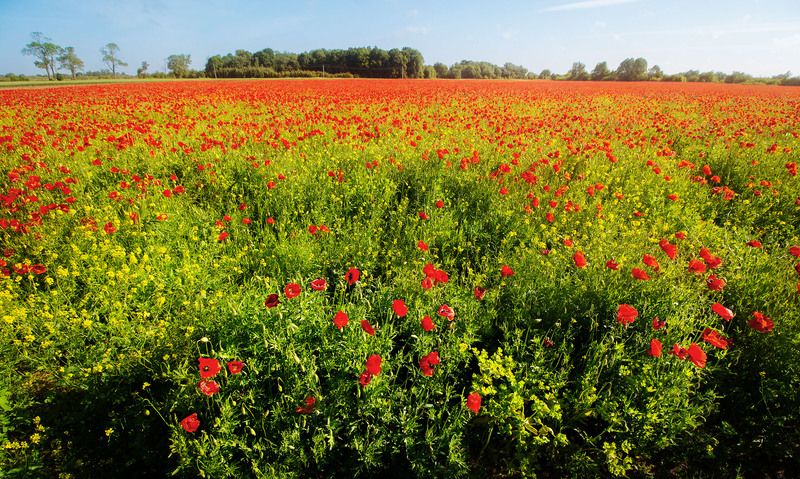 Макиphoto preview