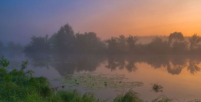 лето озеро туман рассвет природа пейзаж Утренний пейзаж.photo preview