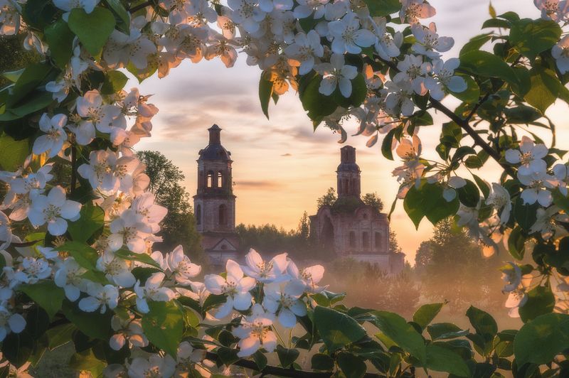 В Пантыле яблони цветут IIphoto preview