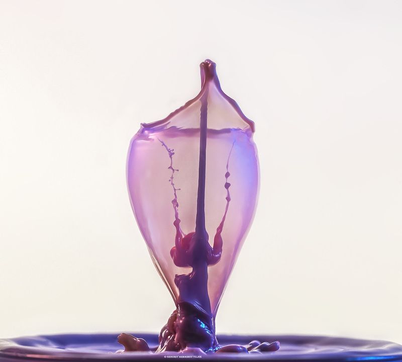 #macro #drops #milk #pink #watercolor #liquid  Dropsphoto preview