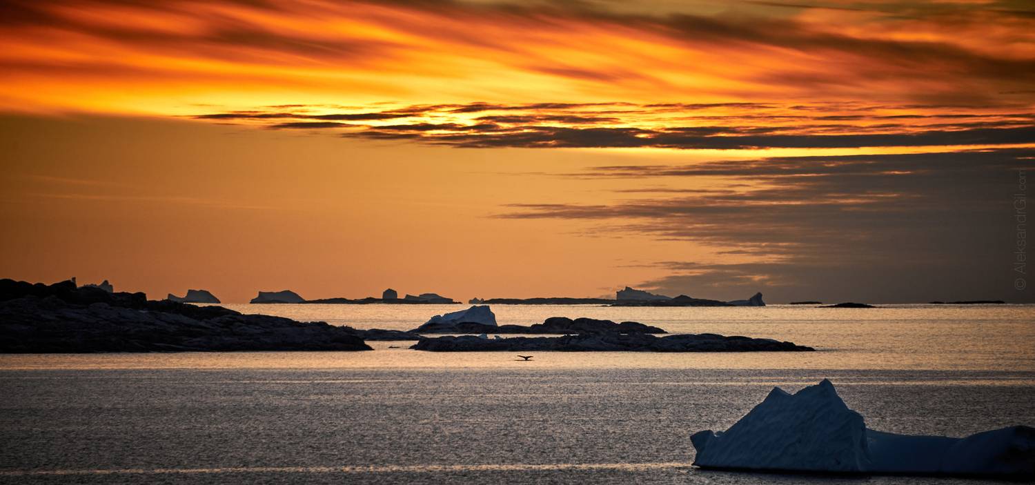 , Гиль Александр