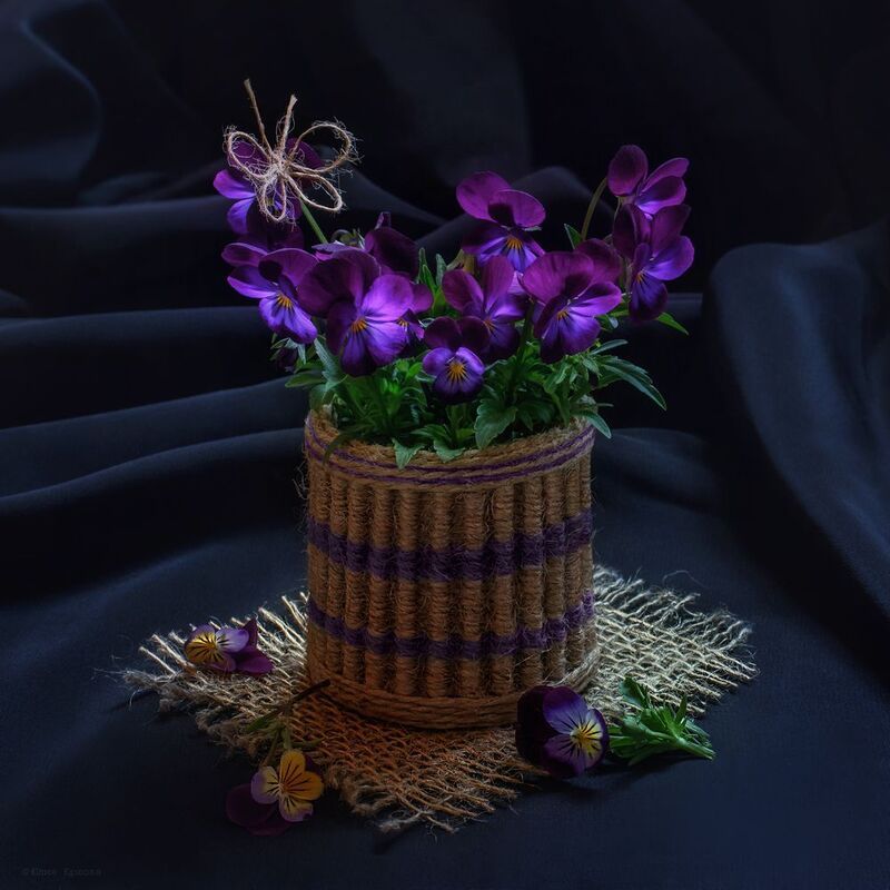 анютины глазки, натюрморт Анютины глазкиphoto preview