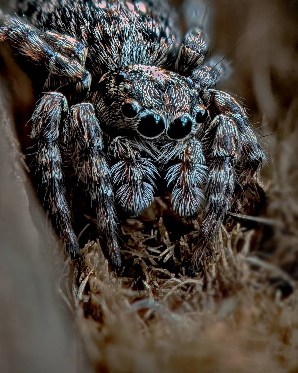 , Кузнецов Дмитрий