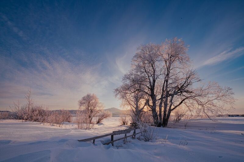 Зима, лес, озеро, холмы, алтай Алтайский крайphoto preview