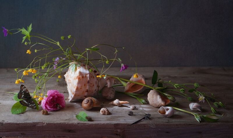 С ракушками фото превью