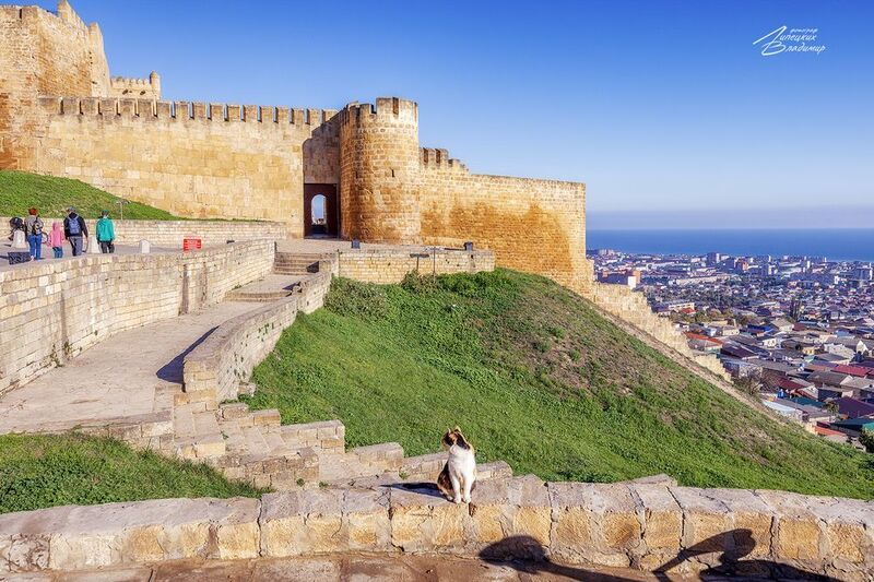 дагестан, дербент, дербентская крепость, нарын-кала Дербентская крепостьphoto preview