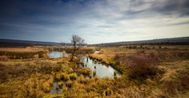 Осеньphoto preview