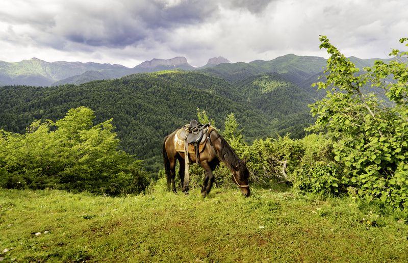 Россия, Краснодарский край, Мостовской район, Бароновы поляны, Чёртовы ворота, Восточный и Западный Ачешбоки, лошадь,  Это Кавказ...photo preview