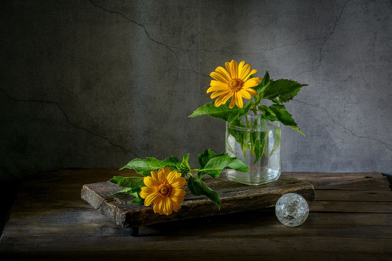 цветы, ложный подсолнух, подставка, стеклянный шар photo preview