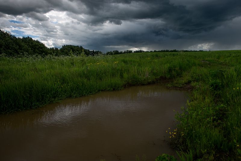 Ненастный деньphoto preview