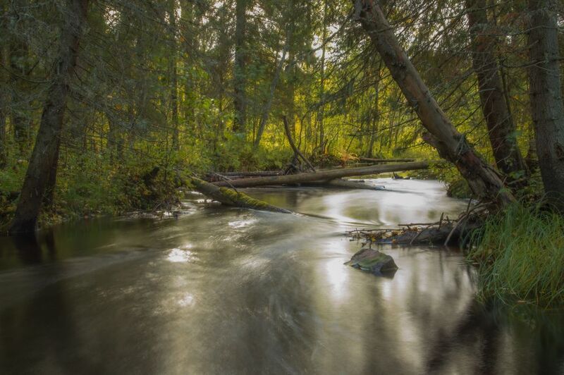 Лес, река, камни, осень, Карелия Карелияphoto preview