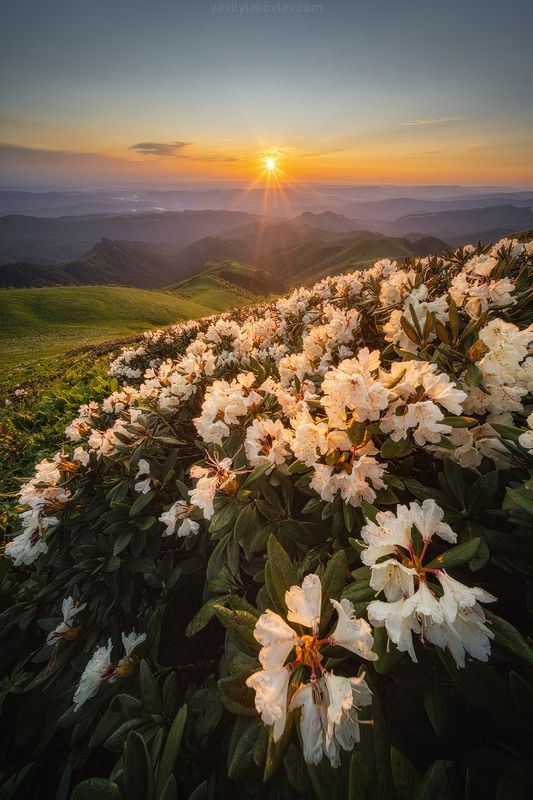 тхач, большой тхач, фототур, яковлевфототур, кавказ, адыгея Утро на Кавказеphoto preview