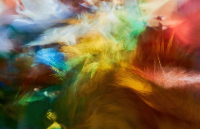 Лунгта фото превью