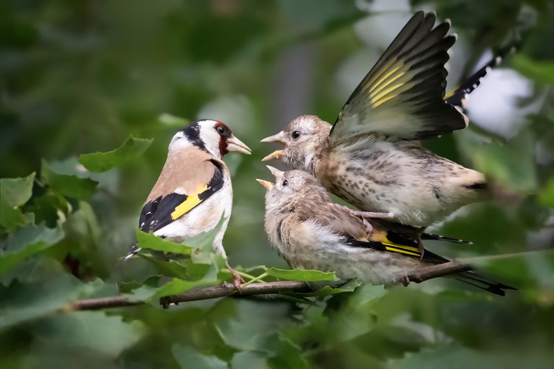 Чё купила?photo preview