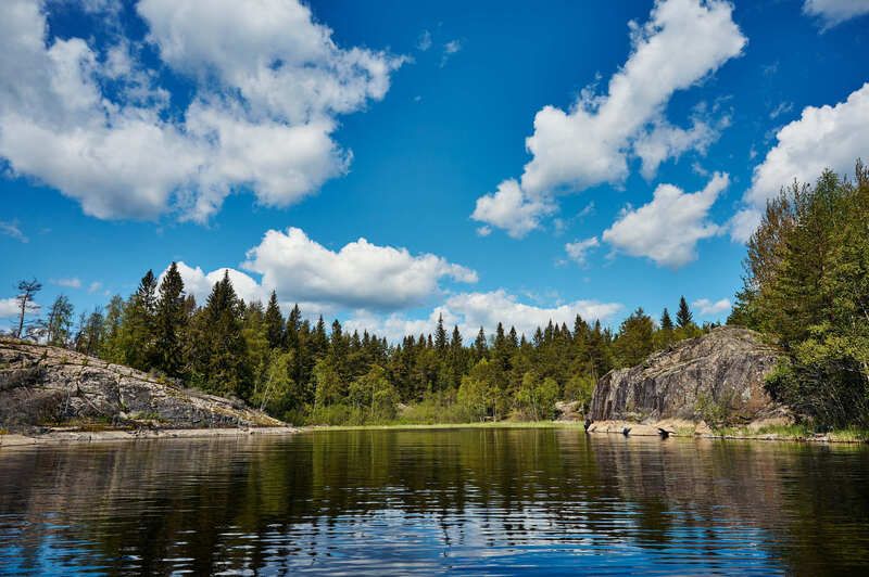 небо, облака, сосны Прогулка по шхерамphoto preview