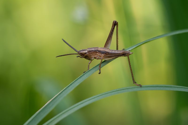 Не надо...я стесняюсь...photo preview