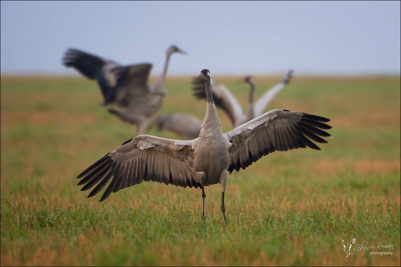 Не подглядывайте! фото превью