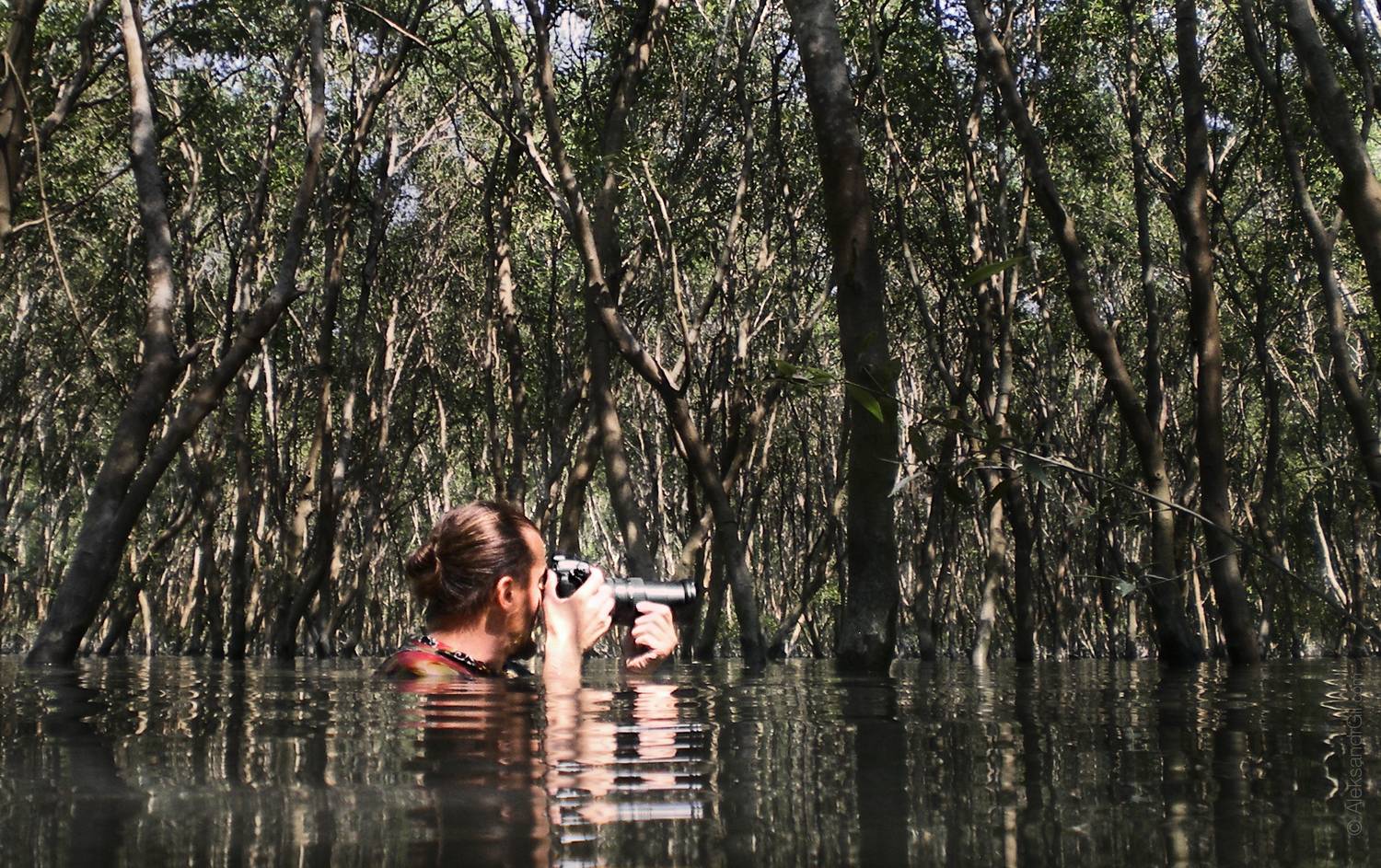 , Гиль Александр
