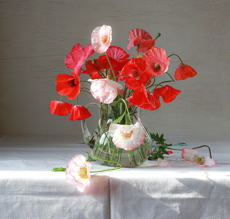 натюрморт, фотонатюрморт, still life, stillifefoto, лето, маки, цветочный_натюрморт, наталья_казанцева Цветы - как бабочкиphoto preview