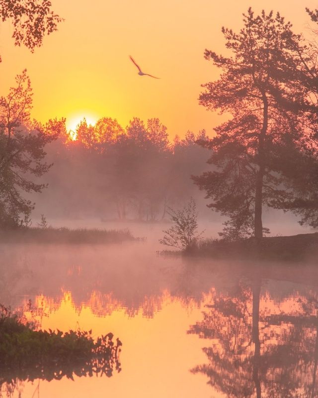 Рассвет на закате весныphoto preview