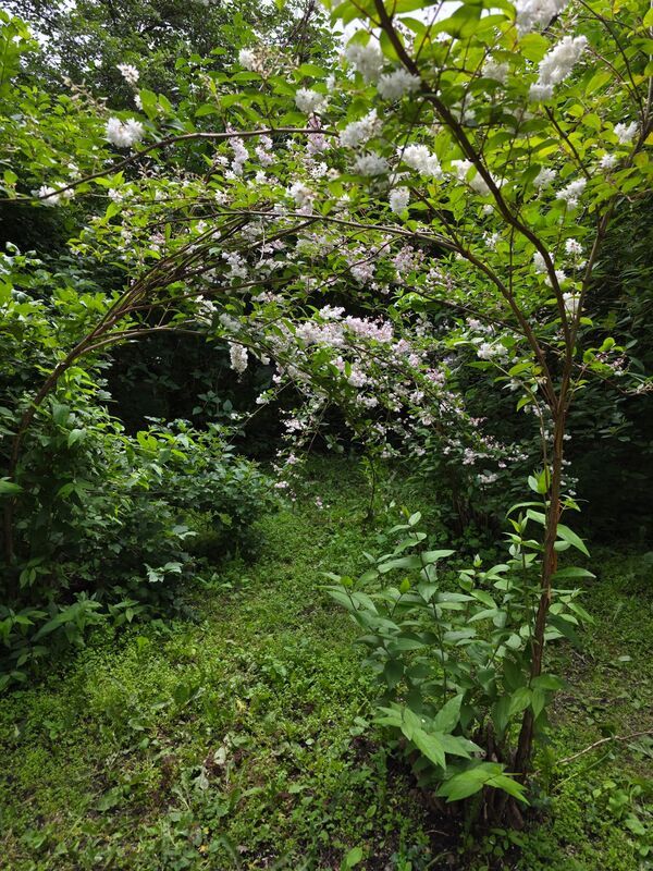 Парк культуры,  лето В летнем паркеphoto preview