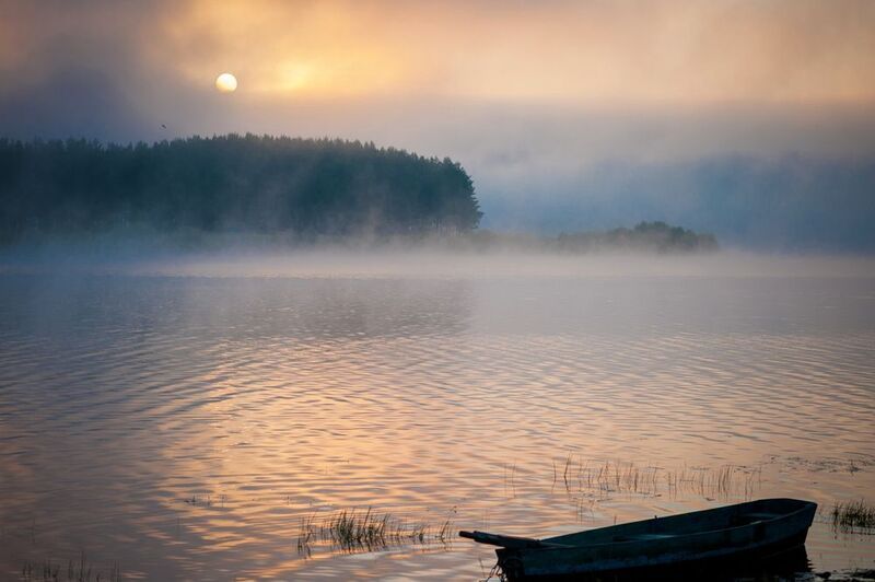 туманный Тирлянphoto preview