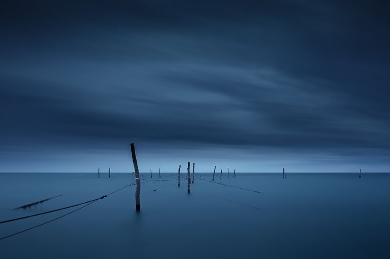 2024-12-05photo preview