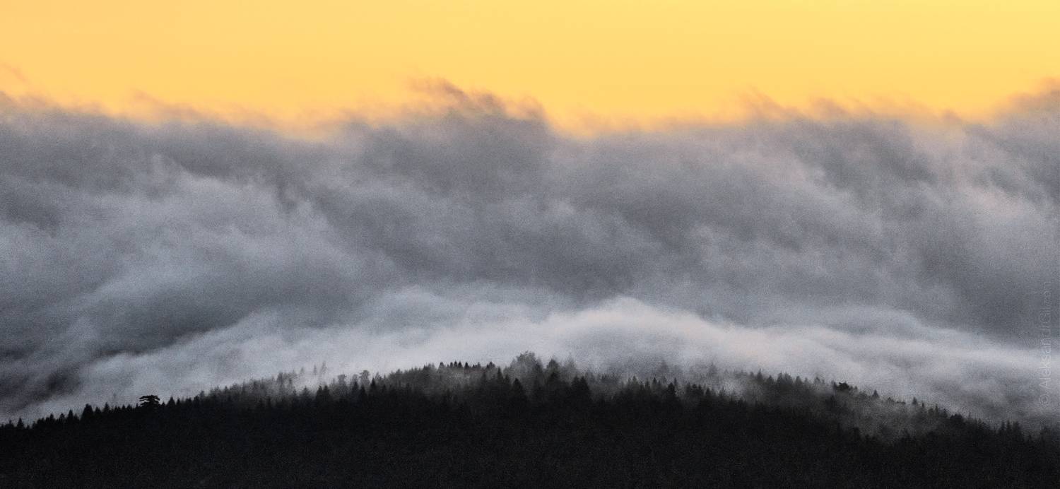 , Гиль Александр