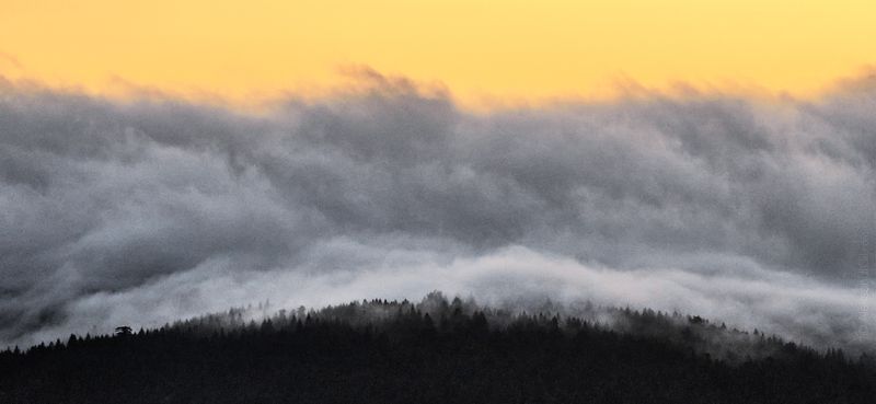 Пух и прахphoto preview