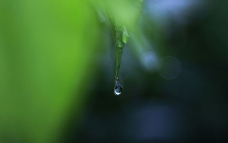 летняя грустьphoto preview